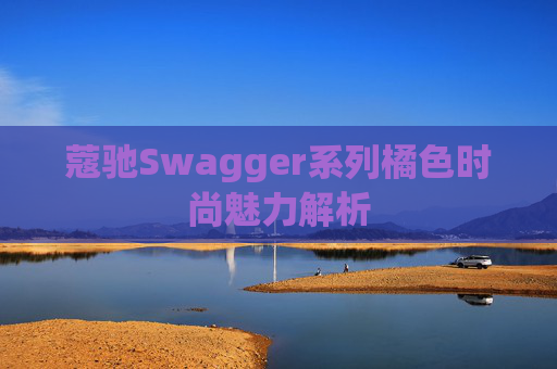 蔻驰Swagger系列橘色时尚魅力解析
